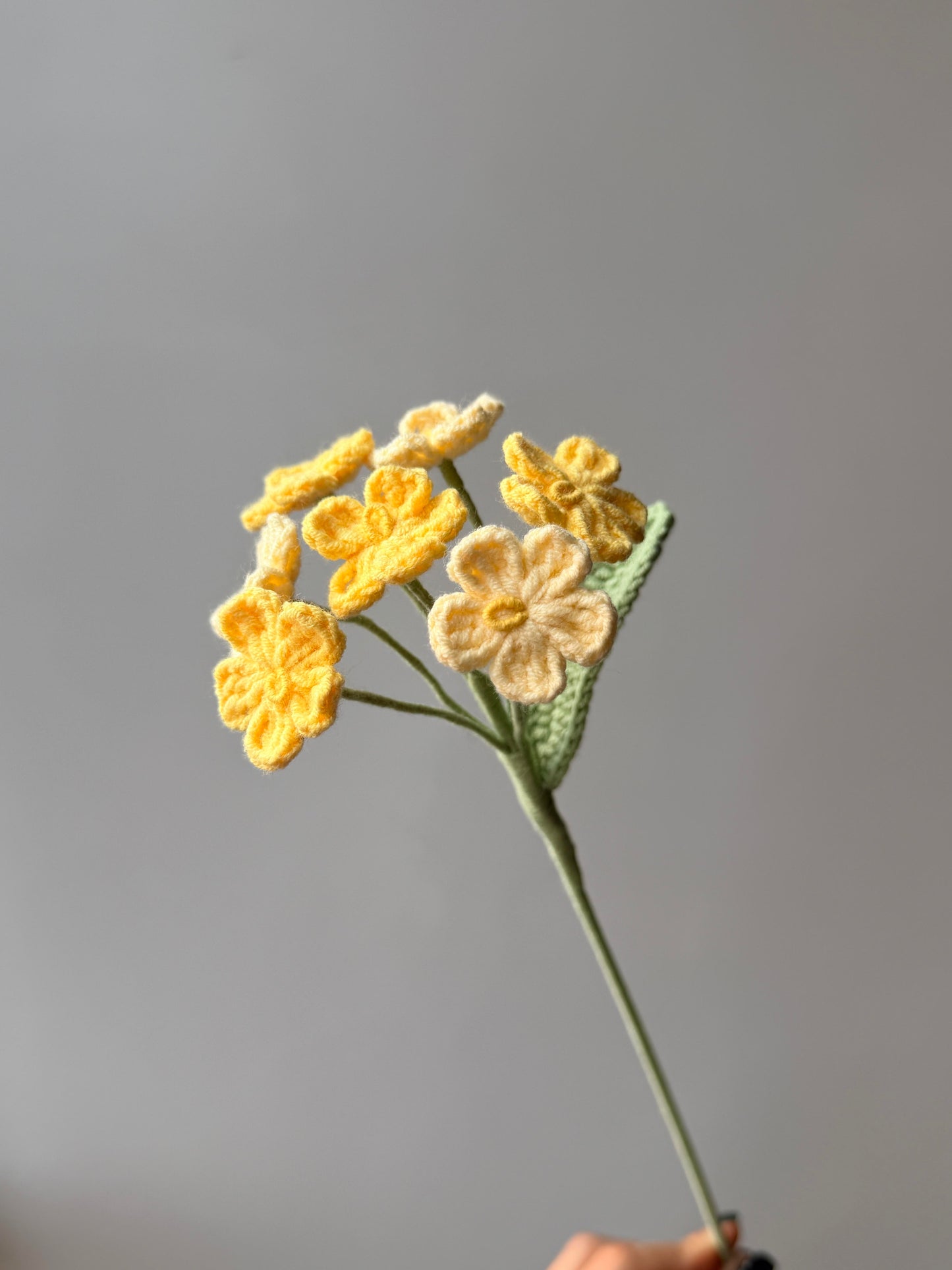 Forget me not Crochet Flower Stem