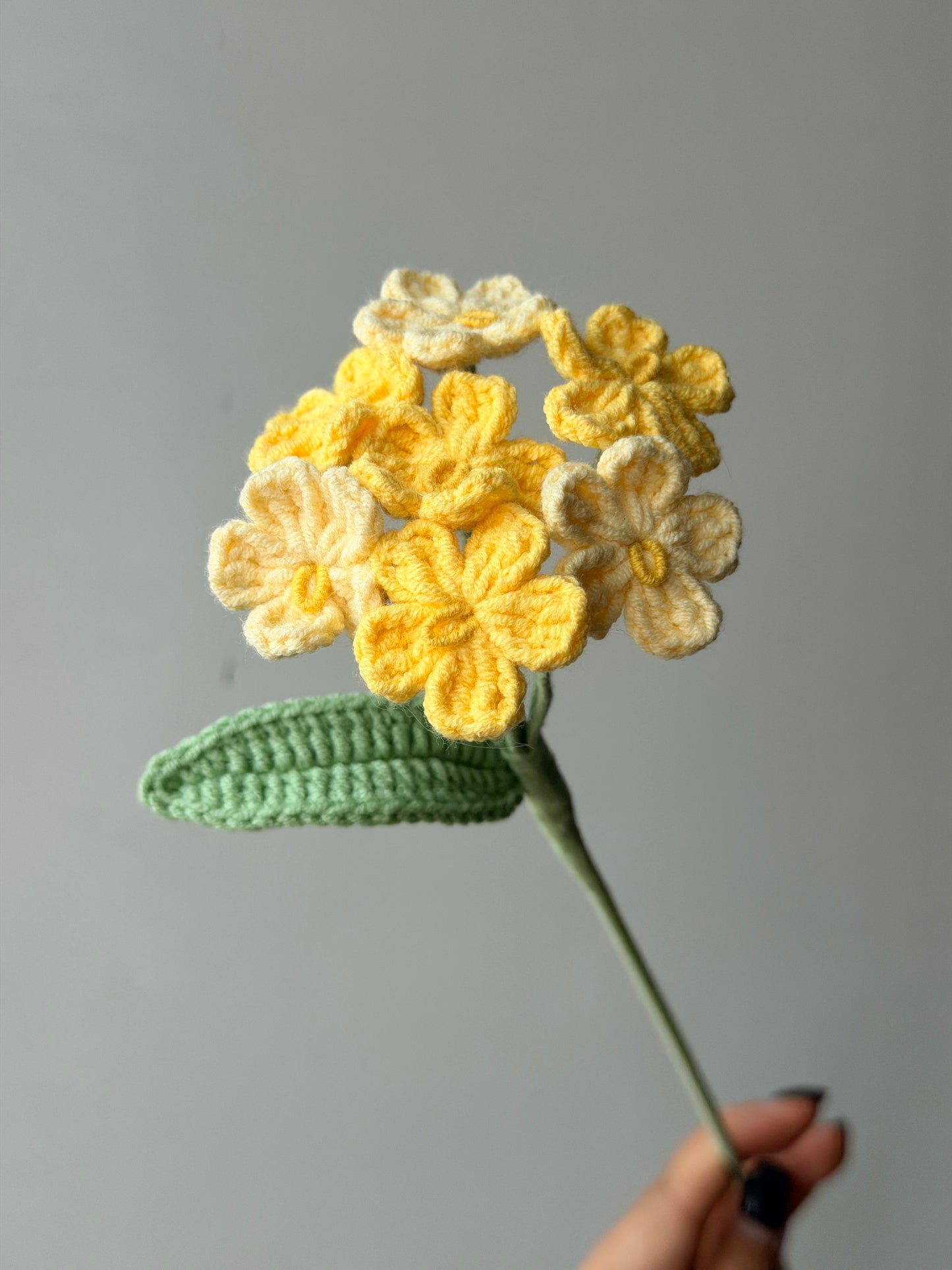 Forget me not Crochet Flower Stem