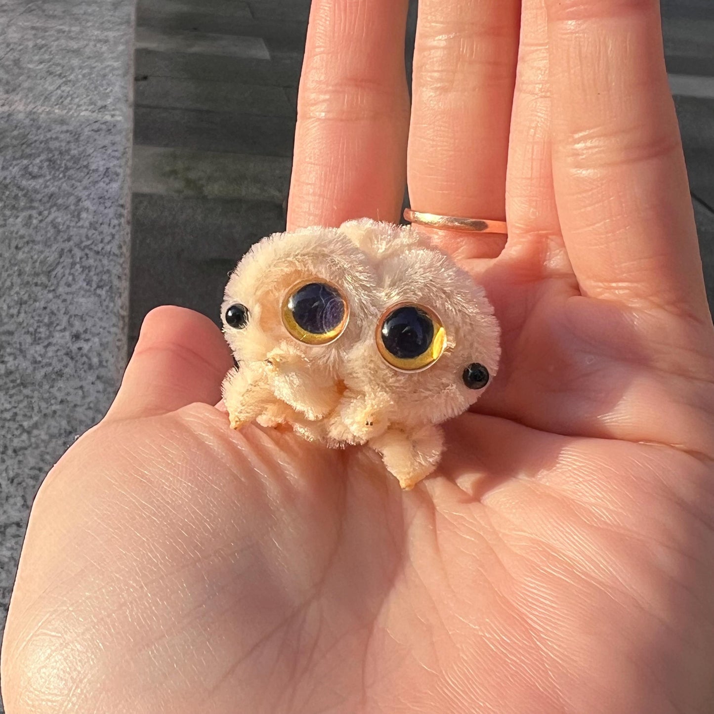 Pipe Cleaner Mini Spider Handmade Cute Desk Buddy Lucas Spider Gift